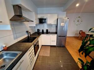 eine Küche mit einem Kühlschrank aus Edelstahl und einer Spüle in der Unterkunft Le cocon du midi - Appartement Cosy in Brüssel