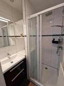 ein Bad mit einer Dusche und einem Waschbecken in der Unterkunft Le cocon du midi - Appartement Cosy in Brüssel
