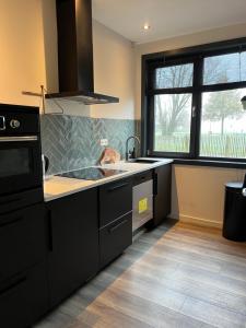 uma cozinha com um lavatório e um fogão em Waterside Voorthuizen em Voorthuizen