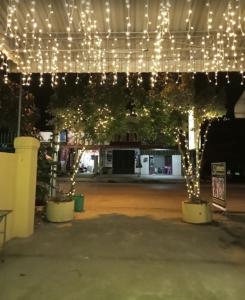 a pavilion with lights and trees in a building at One Piece Kampot in Kampot