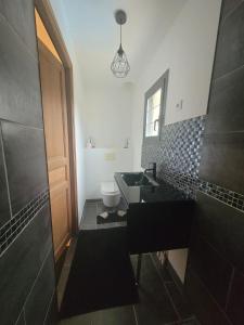a bathroom with a sink and a toilet at Villa NICAISE in Moisenay +5 photos