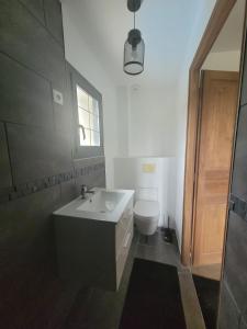 bagno con lavandino e servizi igienici di Villa NICAISE a Moisenay