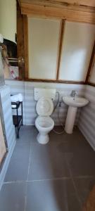 ein Bad mit einem WC und einem Waschbecken in der Unterkunft Mendrelgang Homestay in Punākha