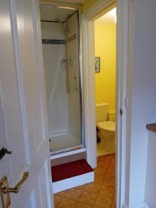 a bathroom with a shower and a toilet at Castle Court in York