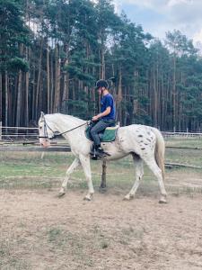 Hostia v ubytovaní Agroturystyka Gawra Chorzępowo Sieraków Puszcza Notecka