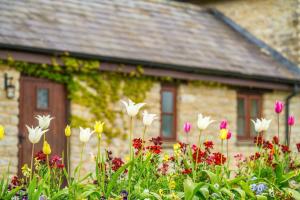 Gallery image of Carters cottage in Buckinghamshire