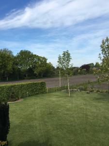 a green yard with a tree in the middle of it at Ferienwohnung Haus Bikker in Ihlow