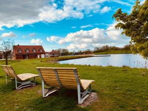 two benches sitting in the grass next to a lake at Ferienwohnung Meerblick in Ihlow