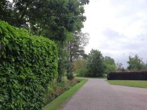 a brick walkway next to a green hedge at FeWo Bohlen-Wieke in Ihlow