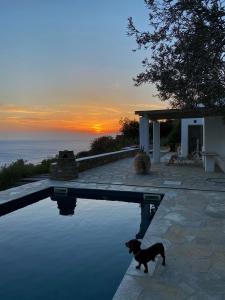 Gallery image of Villa Riza in Apróvaton