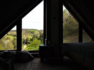 Przyroda w pobliżu tego domu wakacyjnego