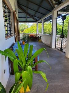 Μπαλκόνι ή βεράντα στο Duplex familial, vue mer, à Majunga Petite-plage