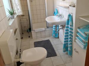 a small bathroom with a toilet and a sink at Ferienwohnung ZWEI nähe Büsum in Oesterdeichstrich