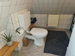 a bathroom with a white toilet and a plant at Ferienwohnung EINS nähe Büsum in Oesterdeichstrich