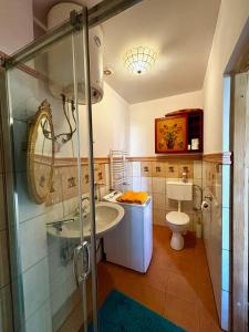 bagno con doccia, lavandino e servizi igienici di Chatka Kristin a Ustroń