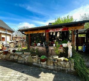 a building with a bunch of potted plants in front of it at Chatka Kristin in Ustroń