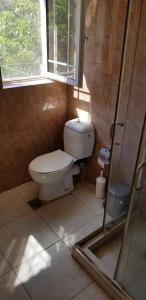 La salle de bains est pourvue de toilettes, d'une fenêtre et d'une douche. dans l'établissement 'Magic Of Nature' Cottage With a Breathtaking View, à Dhriópi