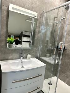 La salle de bains est pourvue d'un lavabo et d'une douche avec un miroir. dans l'établissement Magnifique Appartement Neuf, 5 Min Orly - Climatisé, à Paray-Vieille-Poste