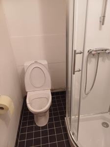 een kleine badkamer met een toilet en een douche bij meijeriranta majoitus in Ylistaro