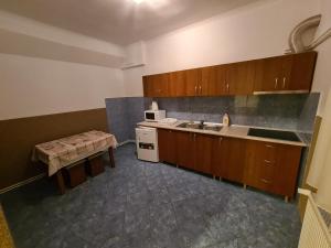 Kuchyň nebo kuchyňský kout v ubytování Sándor Panzió