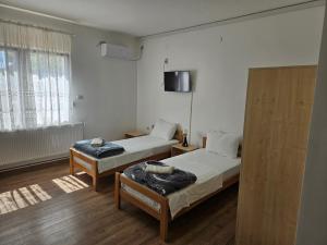 a room with two beds and a tv on the wall at Apartments Kuca Aleksic in Niš