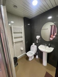 a bathroom with a toilet and a sink and a mirror at DownTown B&B in Vanadzor