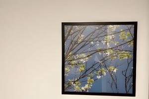 Billede fra billedgalleriet på Lindo Apto 2 quartos no Solar Tambaú i João Pessoa