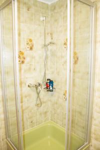 a shower with a glass door in a bathroom at Ferienwohnung in Schönwald Schwarzwald in Schönwald +33 photos