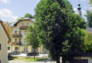 a large tree in front of a yellow building at Ferienwohnungen am Rathaus in Ruhpolding