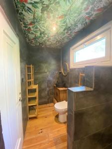 a bathroom with a toilet and a painting on the ceiling at Paraíso Gallego ® in Ponteareas