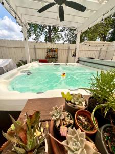 una piscina con plantas y macetas en Canal Street Inn, en Nueva Orleans