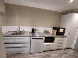 una piccola cucina con lavandino e frigorifero di Vauxhall Private Suite a Dunedin