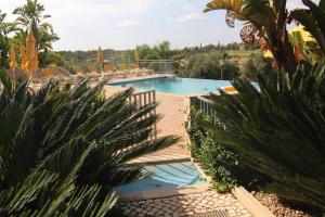 een groot zwembad met stoelen en palmbomen bij Vale da Pinta Golf in Estômbar +53 foto's
