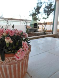 um pote de flores cor-de-rosa sentado numa mesa em Ferienhaus mit zwei großen Terrassen und traumhaften Meerblick em Ražanac