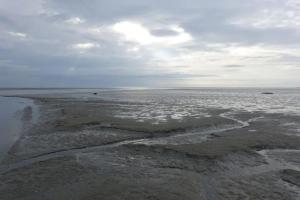 Photo de la galerie de l'établissement Duplex - vue d'exception face à la Baie de Somme, au Crotoy
