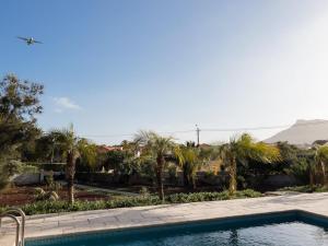 a swimming pool with palm trees in the background at GuestReady - A delightful stay in Porto Santo in Porto Santo