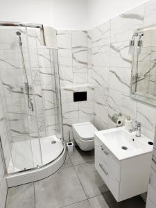 a bathroom with a shower and a toilet and a sink at Hotel Lubavia in Lubawka