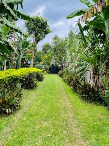 ścieżka przez ogród z zieloną trawą i drzewami w obiekcie Kilimanjaro Ultimate Home Stay w mieście Moshi