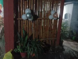ein Zimmer mit einem Zaun und einigen Pflanzen und Ballons in der Unterkunft Tales of Guwahati in Guwahati