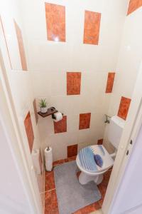 a bathroom with a toilet in a room at Apartment Vita in Izola