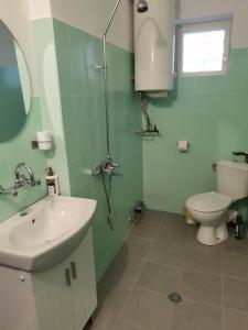 a bathroom with a sink and a toilet at Дива in Kŭrdzhali