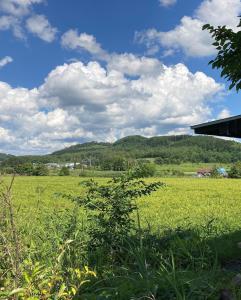 a field of green grass with a mountain in the background at 民泊 山の家 フィンランド式サウナ-要予約-付き一軒家 in Iwamizawa