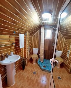 een badkamer met een wastafel, een toilet en een douche bij Pensiunea Poarta Raiului in Cugir