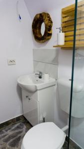 a bathroom with a toilet and a sink and a donut at Rosa&Vera in Ucea de Sus