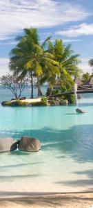 Naturlandskabet i nærheden af lejligheden