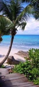 Naturlandskabet i nærheden af lejligheden