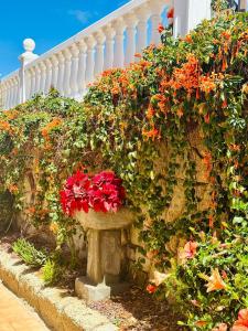 a bench covered in flowers in front of a house at Sunny Sea View Apartment Center of Las Americas in Playa de las Americas