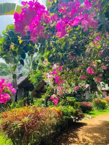 Κήπος έξω από το Tamarin Lodge