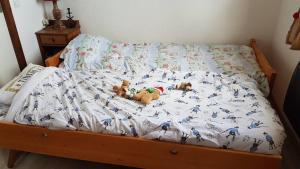 un lit avec deux animaux farcis qui y sont posés dans l'établissement Studio Bettex Pierre Platte, à Saint-Gervais-les-Bains