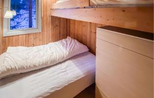 a bedroom with a bunk bed in a cabin at Amazing Home In Hovden I Setesdal With Ethernet Internet in Giskeli